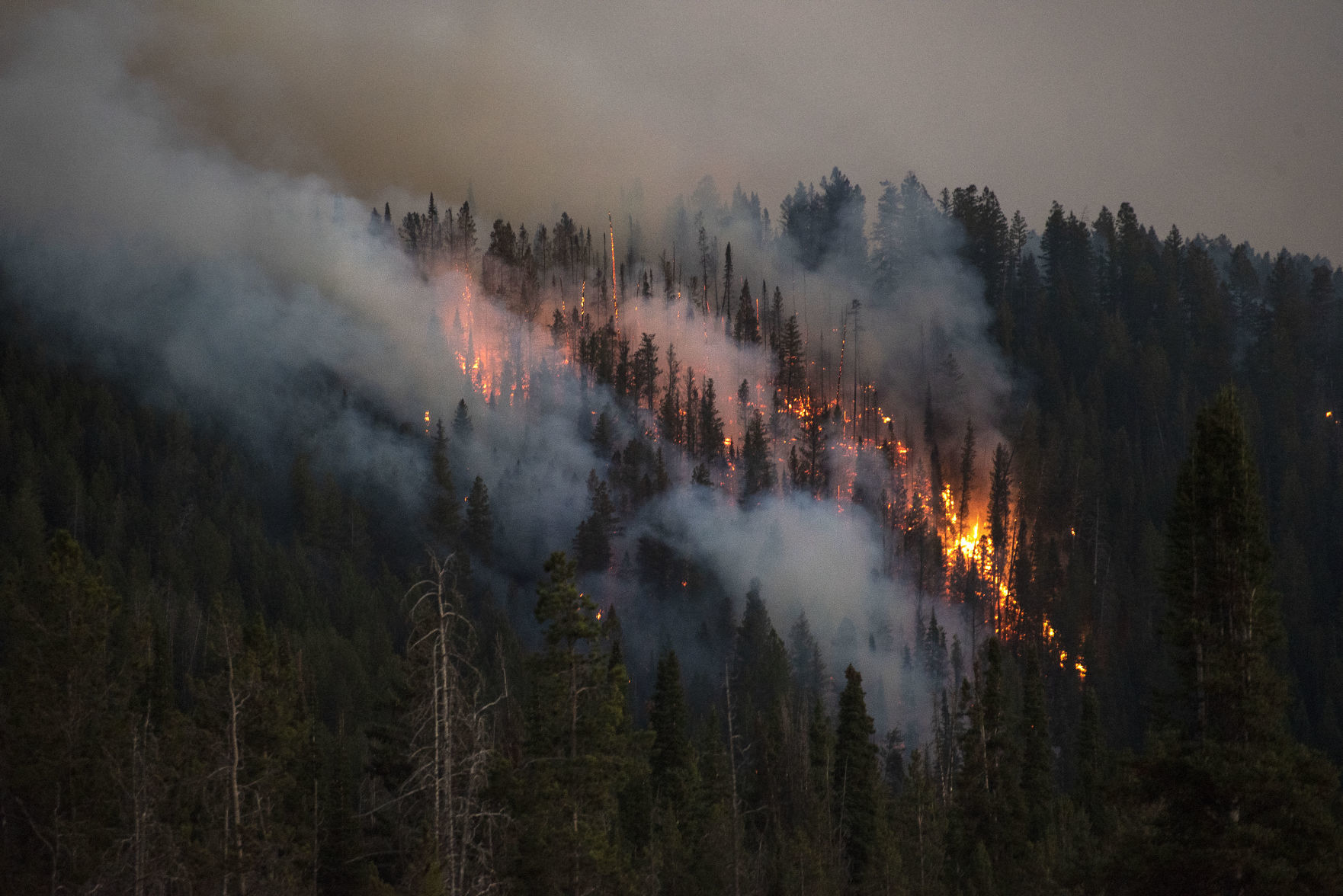 Roosevelt Fire